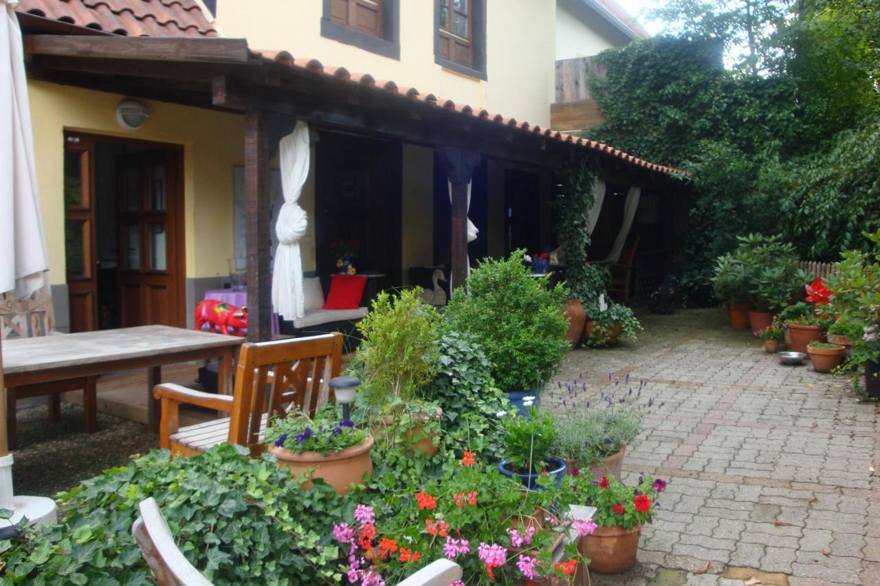 Apartement De Vacances Alsace - Ferienwohnung Elsass - Holiday Apartment Alsace Bischwiller Extérieur photo