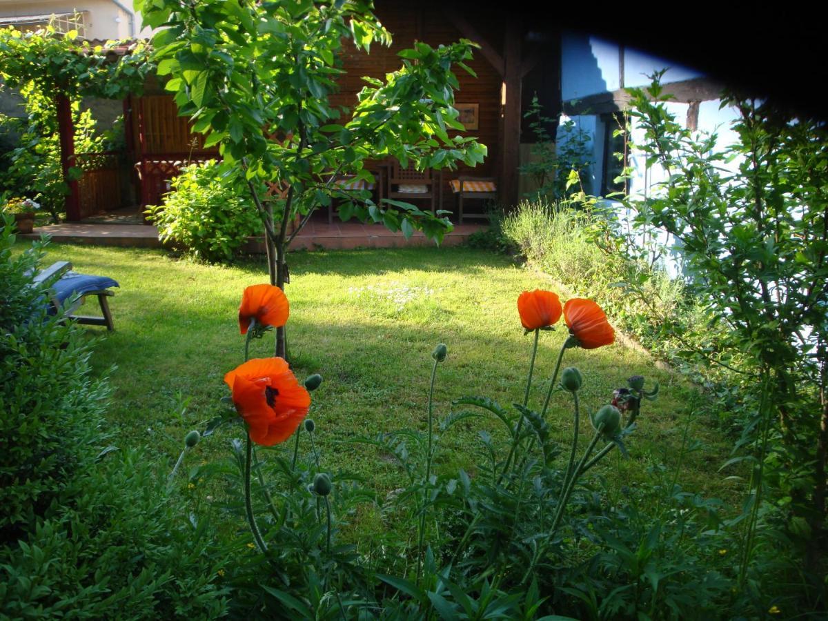 Apartement De Vacances Alsace - Ferienwohnung Elsass - Holiday Apartment Alsace Bischwiller Extérieur photo