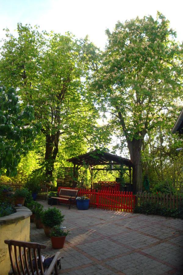 Apartement De Vacances Alsace - Ferienwohnung Elsass - Holiday Apartment Alsace Bischwiller Extérieur photo